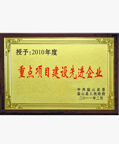 Proyecto clave Empresas avanzadas